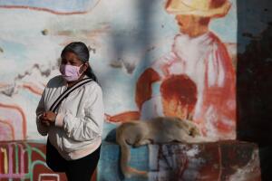 APTOPIX Virus Outbreak Mexico