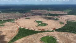 Daño ambiental en Yucatán: la explotación descontrolada de fuentes de agua en el paraíso maya
