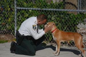 Perro salvado por la policía de Lee, Florida