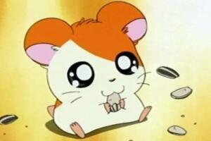 Hamtaro
