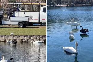 Especialistas advierten que la falta de limpieza en senderos podría aumentar el riesgo de contaminación.