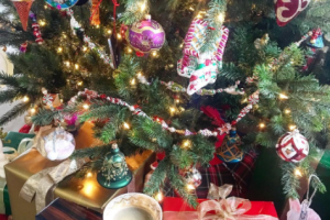 Navidad famosos