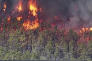 Incendio Jones Road deja un detenido, declaratoria de emergencia y mala calidad del aire.