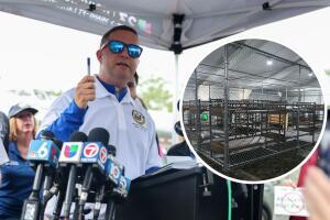 Legisladores demócratas denuncian malas condiciones y demandan acceso para supervisar el centro Alligator Alcatraz.