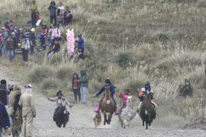 Ecuador Llama Races