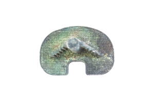 Implanted