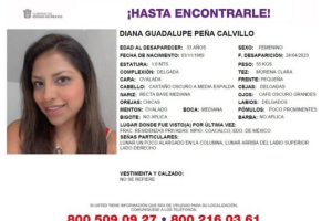 Ficha Diana Peña, desaparecida en México