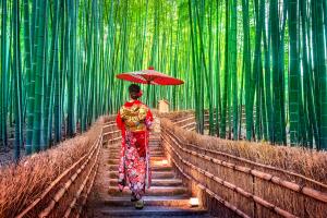 mujer-habitante-japon-bosque.jpg