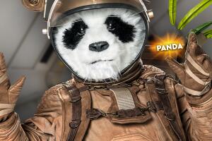 Panda.jpg