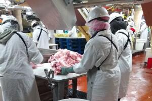 Trabajadores en Smithfield