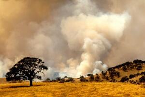 contra costa fire.jpg