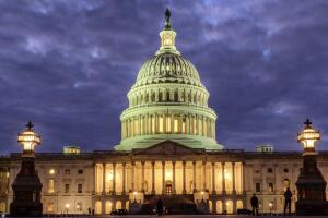 US Election 2024 Congress