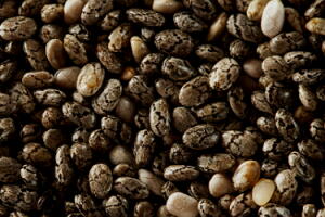 chia-texto-2.jpg