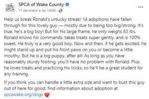 Refugio de animales compartió el historial de adopción del perro llamado Ronald