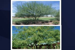 MUJER (6) (1) (13).jpg