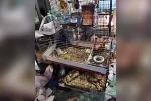 GALERIA ANIMALES/ANIMALESEXOTICOS8.jpg