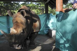 Hacienda Nápoles Pablo Escobar