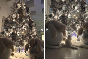 Belinda Navidad 2022 (2).png