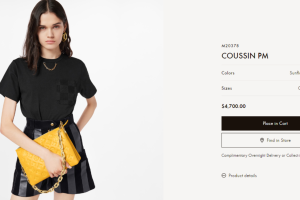 louis-vuitton-bolso-aislinn-derbez.png