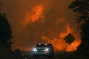 AP24252592706207 (1).jpg