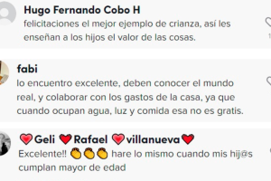 opiniones_renta_hija_tiktok.png