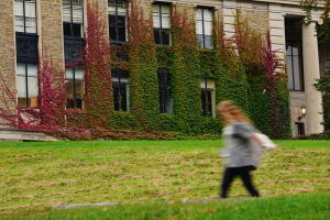 Cornell Investigation