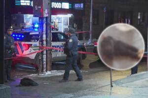 Tiroteo en El Bronx deja un adolescente sin vida y dos más heridos.