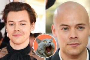 harry_styles_calvo_teoria