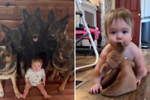 Niña creció rodeada de perritos y actúa como si fuera uno: los videos enamoran a TikTok
