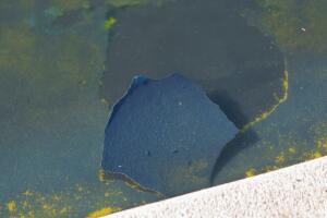 APTOPIX Lincoln Memorial Reflecting Pool