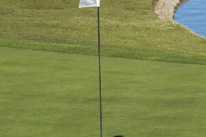 2017 Comedy Wildlife Photography Awards - Final 40