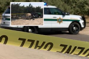 sheriff-fresno-body.jpg