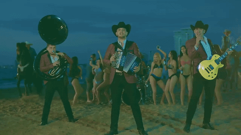 Calibre 50 videos