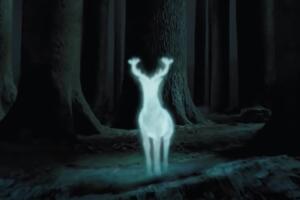 patronus harry potter.jpg