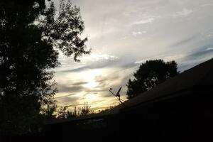 2Martha Castillo‎2.jpg