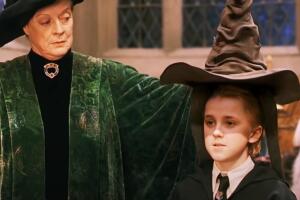 draco malfoy con el sombrero seleccionador harry potter.jpg