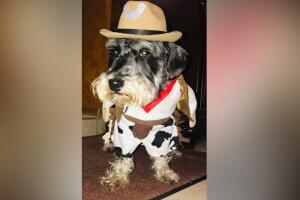 Carmen Hernandez.jpg