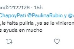 criticas a paulina rubio 5.jpg