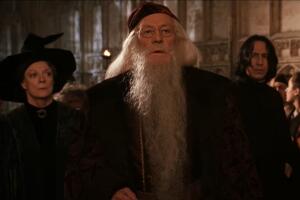 dumbledore harry potter 3.jpg