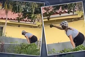 Mujer se lleva mangos de forma peculiar en Miami