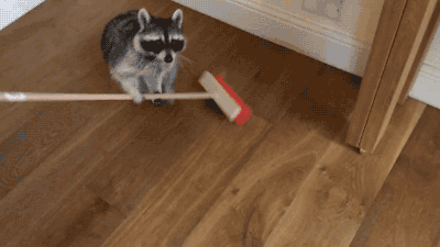 tumblr_nttzi5m8ls1s02vreo2_400.gif