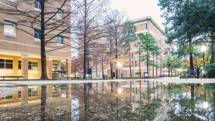 La ciudad de Arlington se encuentra en el sitio 51 y en séptimo lugar en matrículas escolares a nivel nacional.