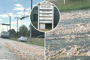 mal olor contaminación ambiental empresa dar pro solutions bastrop texas