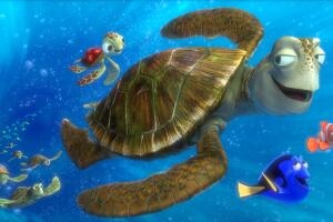 Buscando a Nemo (Crush, tortugas 3).jpg