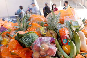 Gobernadora de Nueva York firma una ley para traer más comida a familias de bajos recursos