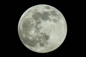 super_luna_rosa_abril_2021-6_0.jpg