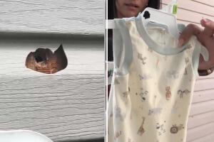 Más de 40 disparos contra una vivienda en el condado de Fulton en Georgia; familia con un bebé recién nacido teme por su vida