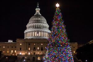 AP18242863824429 (1).jpg