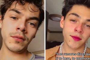 doble_tiktok_harry_styles