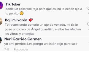 tiktok_perrita_limpia_opiniones.jpg